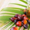 Bitkisel Yemeklik Palm Yağı - Pure Vegetable Cooking Palm Oil