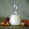 Rdb Palm Stearin