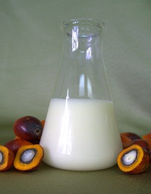 Rdb Palm Stearin