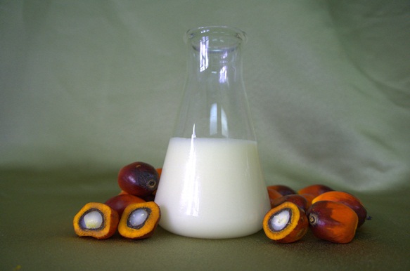 Rdb Palm Stearin